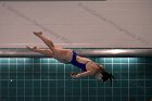 Women's Diving  Wheaton College Women’s Diving vs Mount Holyoke College. - Photo by Keith Nordstrom : Wheaton, Swimming & Diving